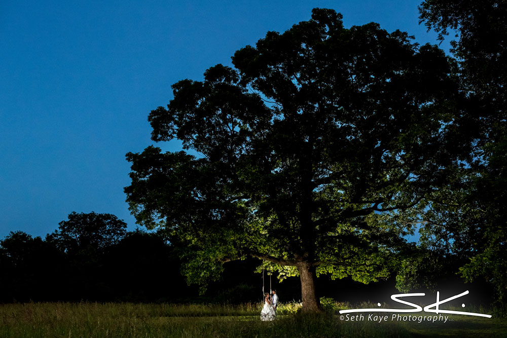 sunset wedding portrait in a field with a big tree